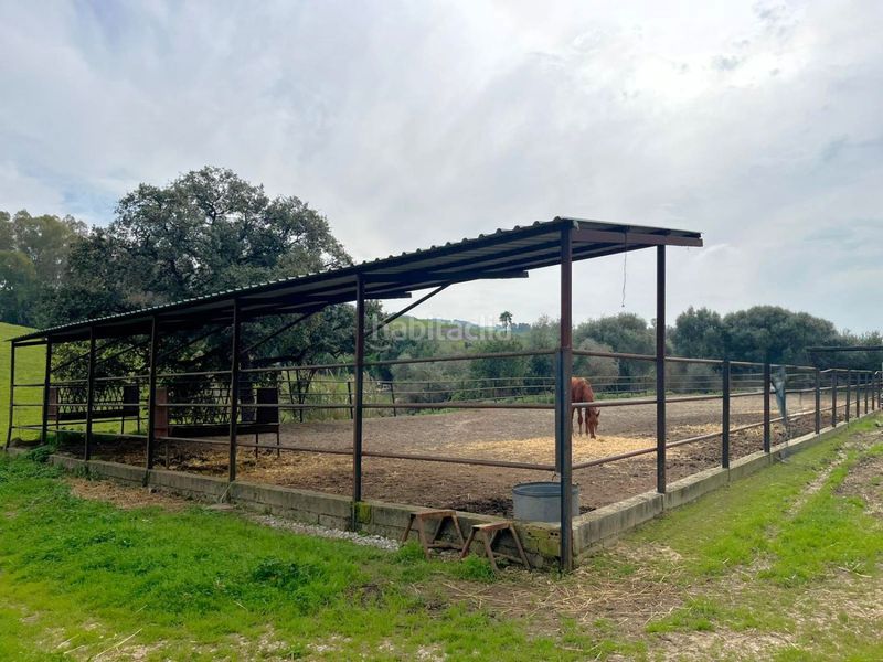 Foto b5873aad-b7de-4180-82f6-5295767534a1. Masia a Jimena de la Frontera