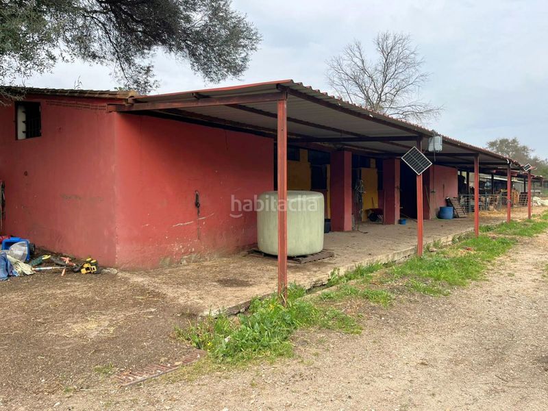 Foto f529775b-a074-4301-a295-b82b84516342. Masia a Jimena de la Frontera