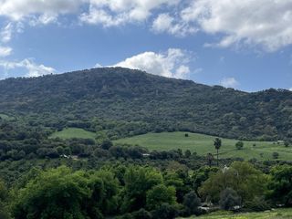 Bauernhof in Cortes de la Frontera. Finca en venta en gaucin.
