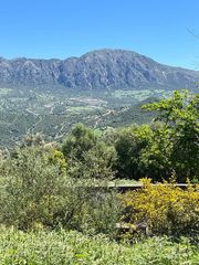 Bauernhof in Gaucín. Finca en venta en gaucin.