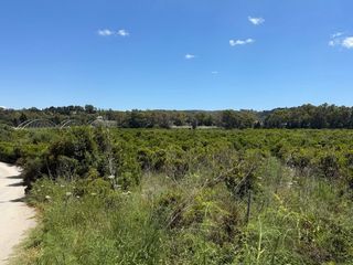 Masia a San Enrique-Guadiaro-Pueblo Nuevo. Finca en venta en guadiaro.
