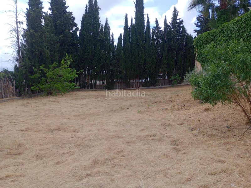 Foto 549a90b4-a4e7-4bb9-a324-018b297bd7b1. Terreny residencial a Cúllar Vega