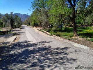 Finca rústica a Lecrín. Finca de olivos en el valle de lecrín