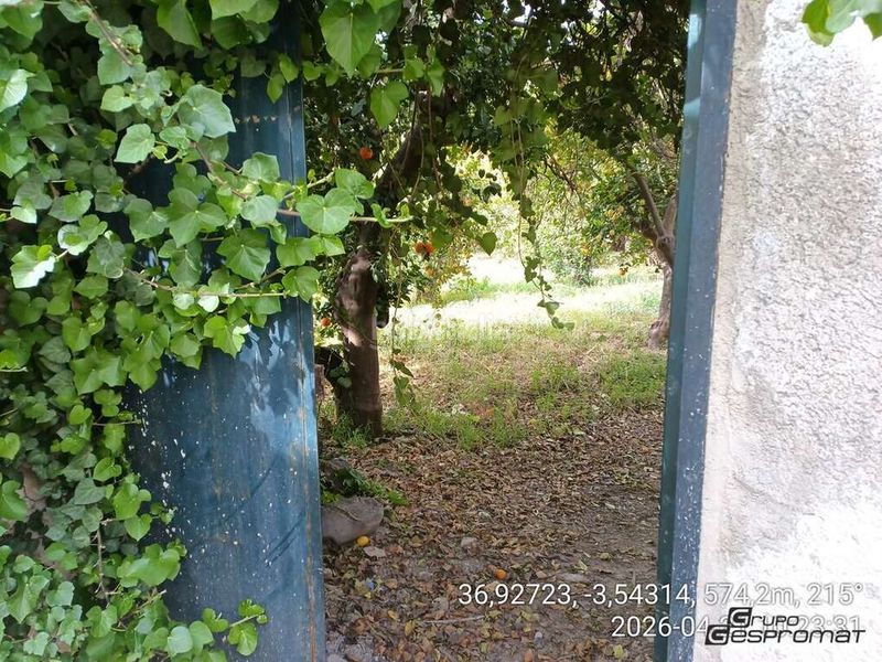 Foto e72b305d-2437-4f1c-8c7f-c8370c875b64. Casa adossada a Lecrín