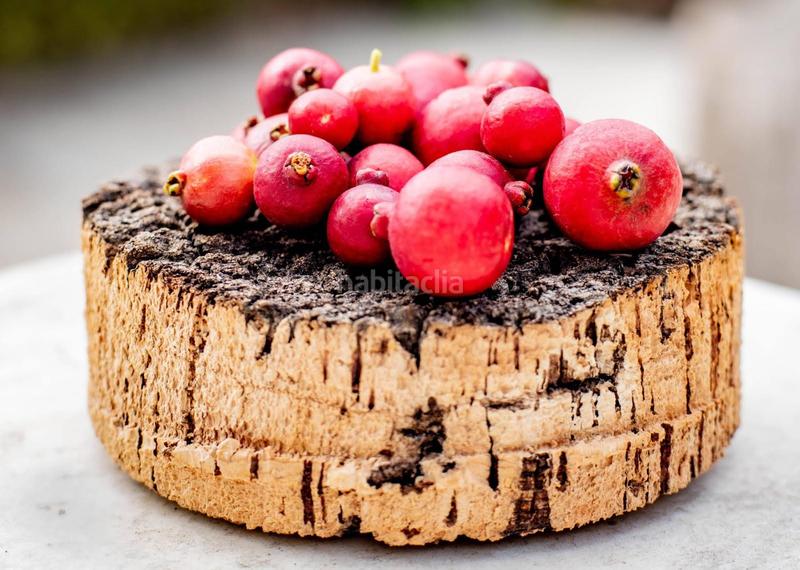 Foto 1b07d278-1e13-428e-9994-7125872c9c69. Rural plot in altos de Estepona Estepona