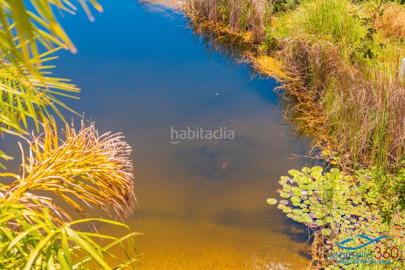 Foto 1b93f630-0e4e-41c7-bd72-2ce57a0164c5. Rural plot in altos de Estepona Estepona