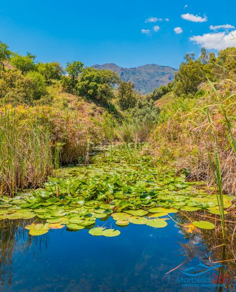 Foto 3d745dfb-d237-4c8d-a0e9-576d6f308572. Rural plot in altos de Estepona Estepona