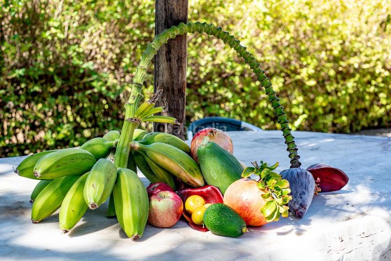 Foto 9c762573-1eeb-43f5-b6db-21d56e11dbbc. Rural plot in altos de Estepona Estepona