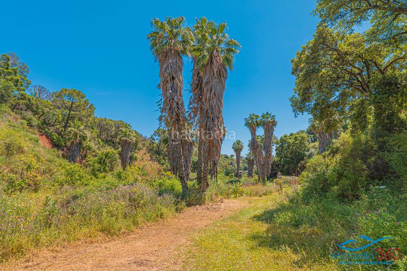 Foto c3e4b7d9-d5dd-4f7a-8c9b-06d81619310a. Rural plot in altos de Estepona Estepona