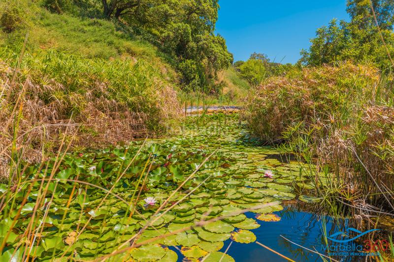 Foto e0829c72-ce26-43fd-bdf6-8cda6a5e7425. Rural plot in altos de Estepona Estepona