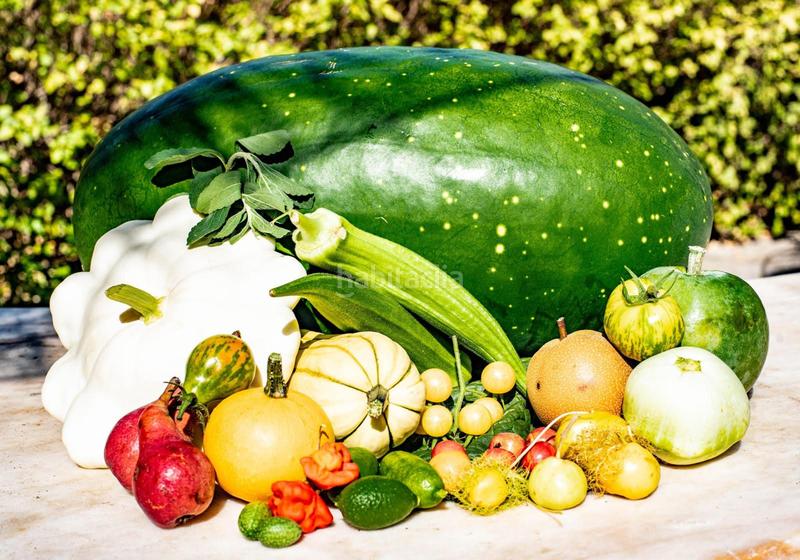 Foto e19df254-0643-472d-b3b6-dc5df43ffeba. Rural plot in altos de Estepona Estepona