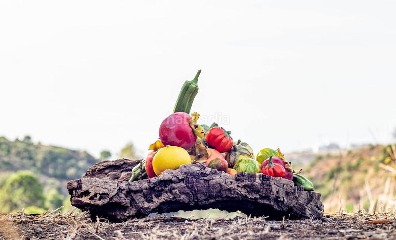 Foto e42a9850-abe8-498f-9f1a-33ac2ee73662. Rural plot in altos de Estepona Estepona