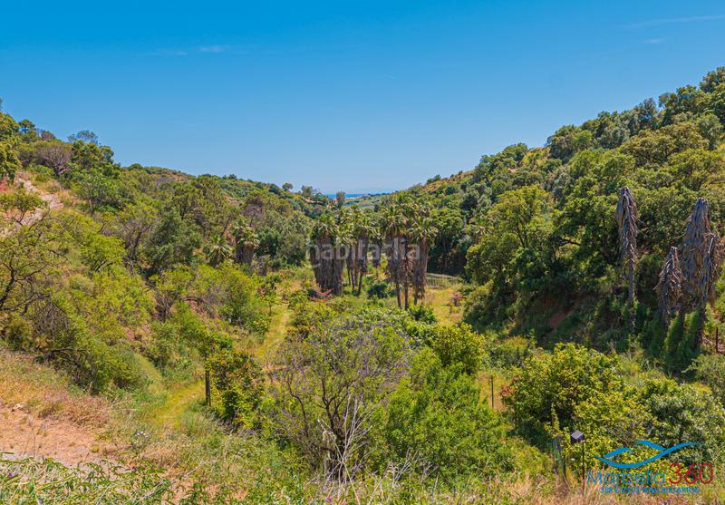 Foto f38b0706-236f-42fc-a607-6568ebdb0952. Rural plot in altos de Estepona Estepona