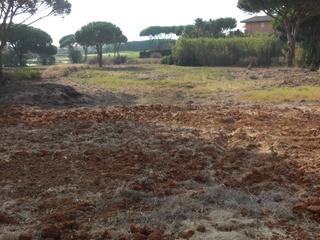 Terreny residencial  Calle claudio. Magnificas parcelas en el residencial grazalema y parcelas del g