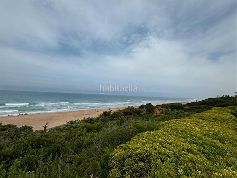 Foto 111ea4c3-9e85-4fb8-a016-e989564ae351. Xalet a avenida helvetia 8 a Roche Conil de la Frontera