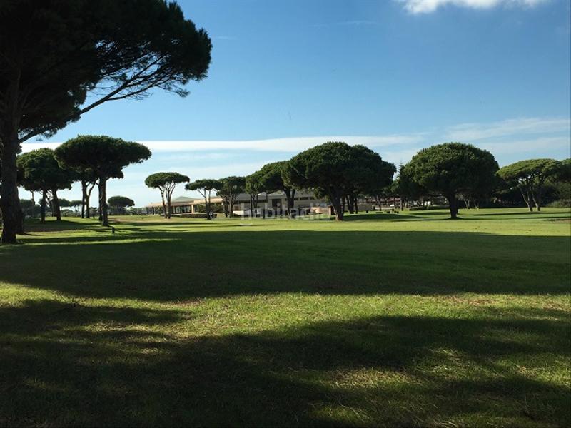 Foto 4c104a44-31ee-4be3-a4c2-f486db0f698f. Apartamento en calle el bogavante 2 en La Barrosa Chiclana de la Frontera