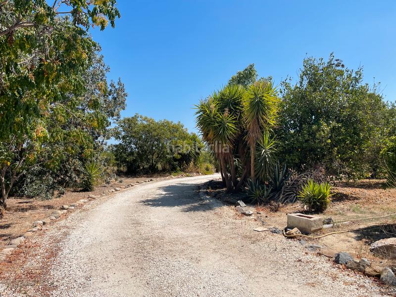 Foto 05b9b5c9-285d-4b31-a812-ce04eca1ffe3. Casale in diseminado poligono 27 78 in Cártama