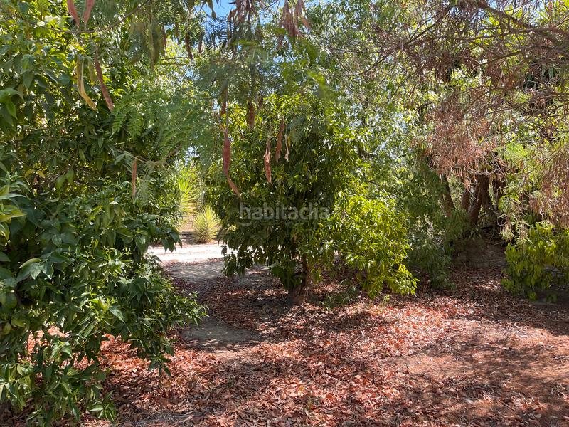 Foto 37d07e52-da96-4d6b-bbf4-b2c2908387d6. Casale in diseminado poligono 27 78 in Cártama