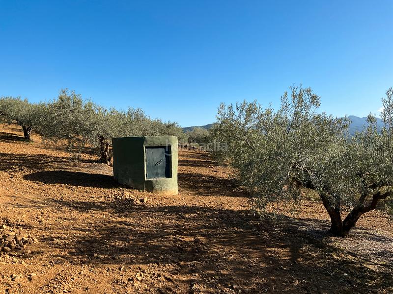 Foto 53a85b8b-3697-4cf8-908d-682d1b3d7fbc. Finca rústica a Alozaina