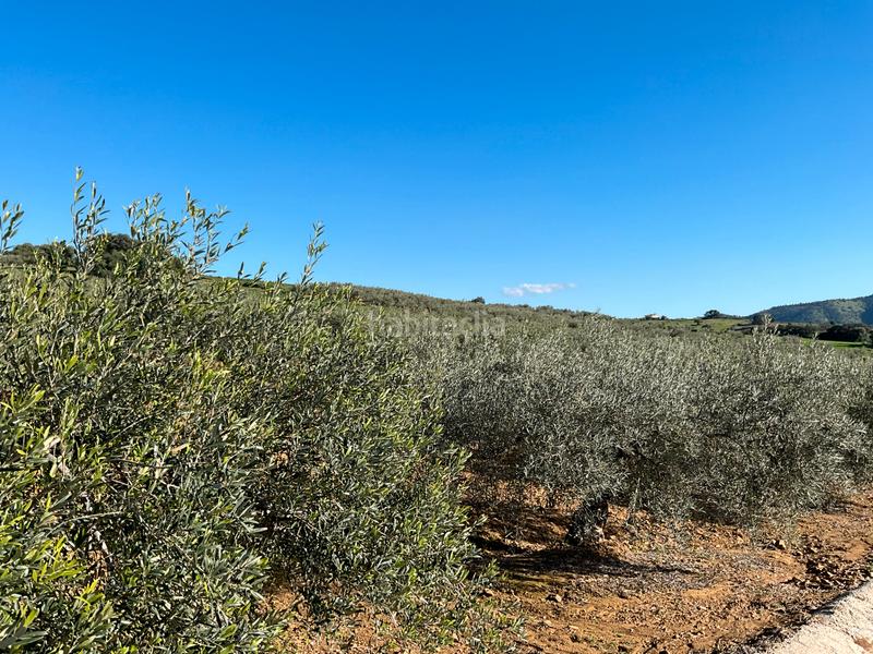 Foto 6d37a859-1676-4e62-85b6-668c18e55d27. Finca rústica a Alozaina