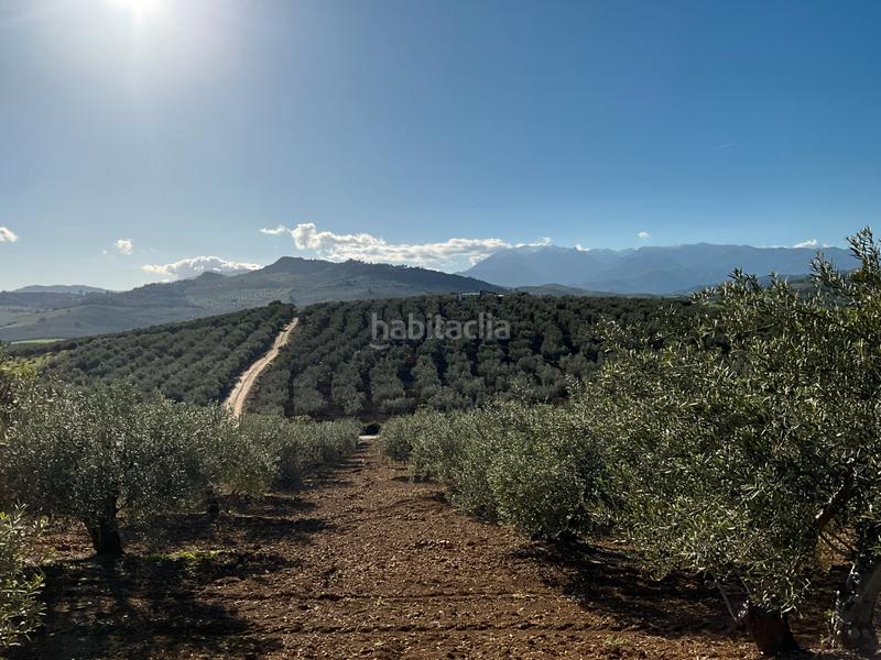 Foto 8c6a17c6-02bb-4b83-a551-781d58fe329b. Finca rústica a Alozaina