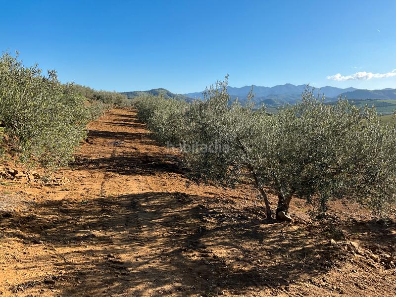 Foto cab8d6a0-75f3-49a6-9a98-ed22c1543c37. Finca rústica a Alozaina