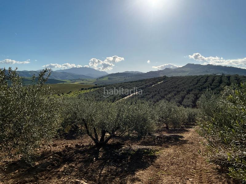 Foto e379e18f-9731-46de-a3ba-ac3c5a9105cf. Finca rústica a Alozaina