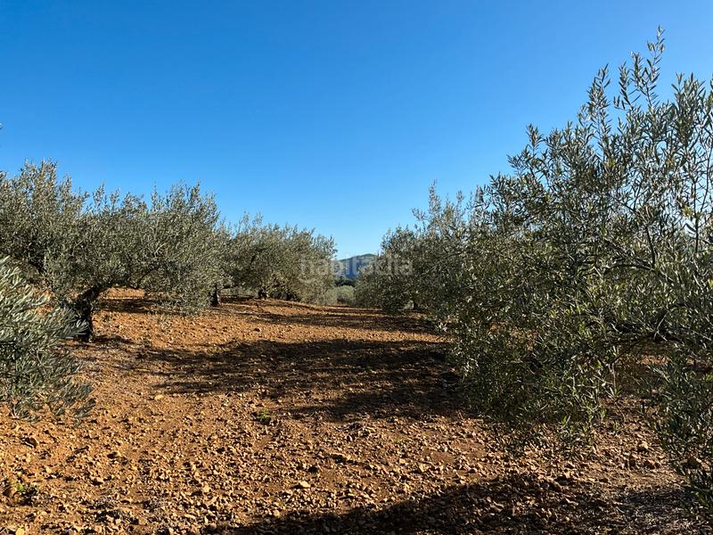 Foto ea3c6494-243a-47a6-ac97-b1f2e661f07b. Finca rústica a Alozaina