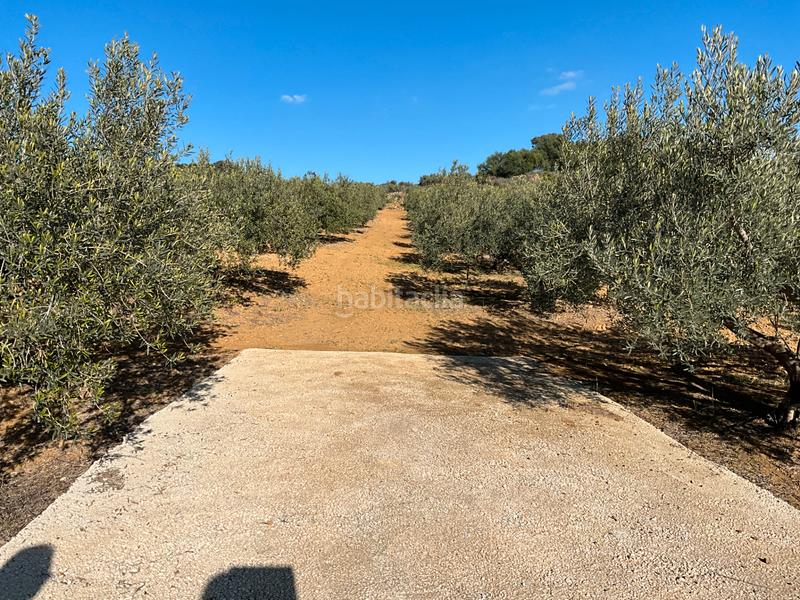 Foto ed5e527e-4319-43d1-9084-fd14d115f4f6. Finca rústica a Alozaina