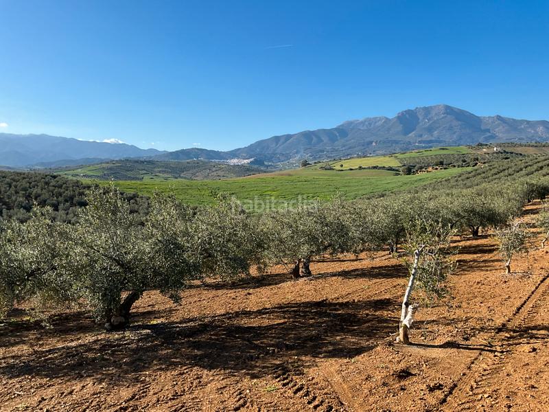 Foto f5f73326-be6a-4676-9b81-d9fc3439df38. Finca rústica a Alozaina