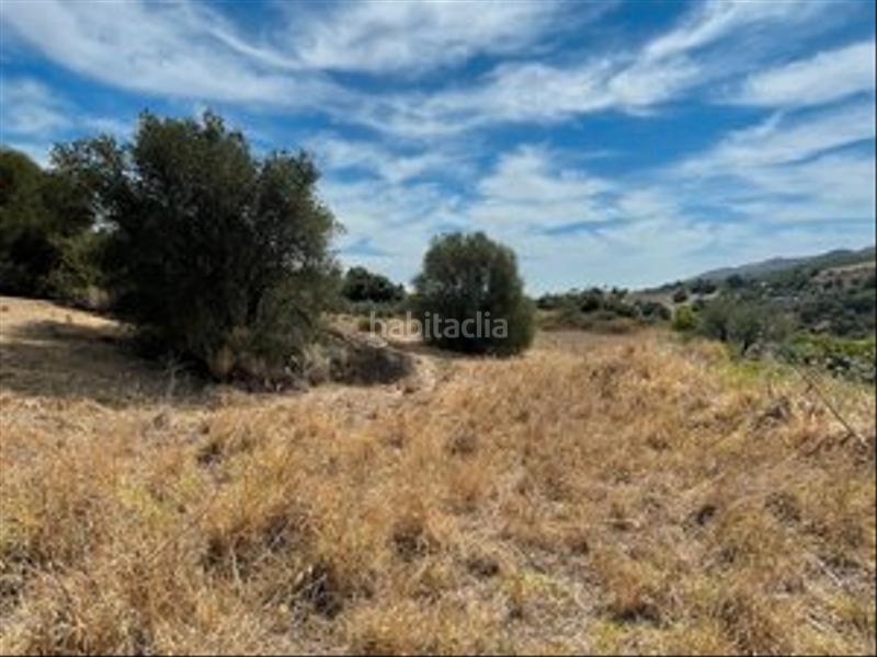 Foto 37381362-3a91-43d0-a424-56b152f2a7e2. Finca rústica a Monda