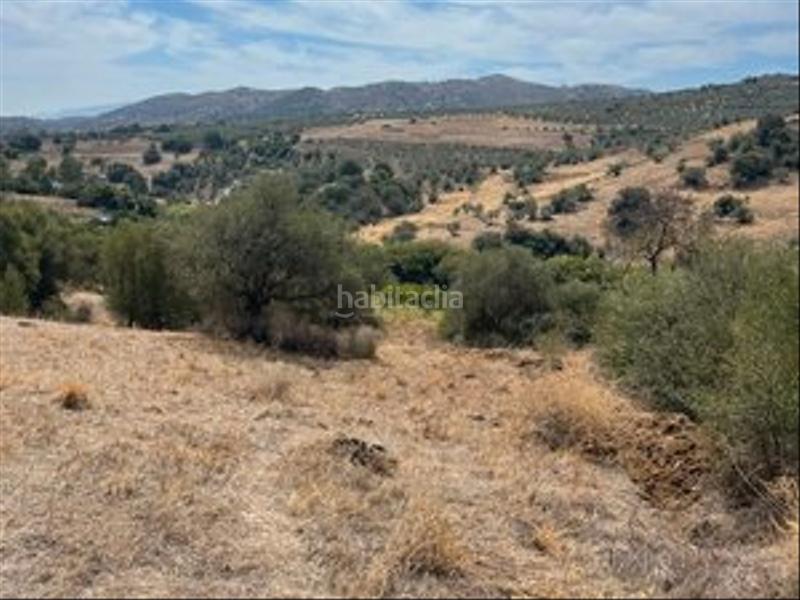 Foto d5d53c37-7d94-4611-8a93-c65f6a89b846. Finca rústica a Monda