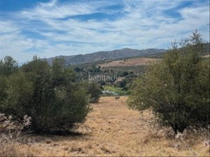 Foto d93d51e8-b1a5-4b4a-9b62-a056bb471338. Finca rústica a Monda