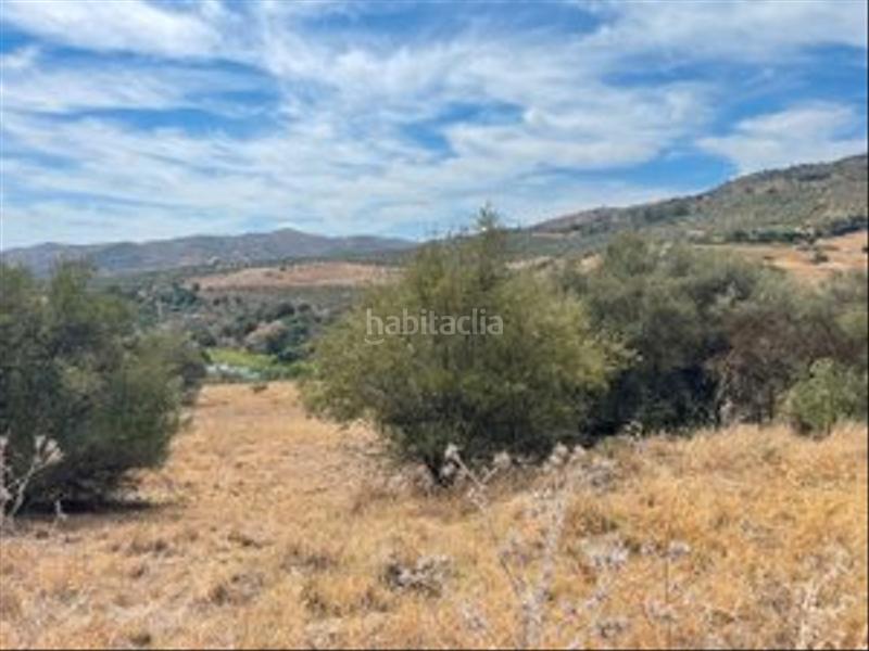 Foto e67cf10e-e49e-4964-9a61-0410bf535861. Finca rústica a Monda