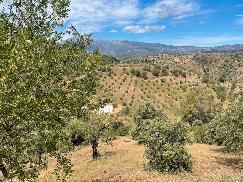 Foto 3b09c426-aae2-42f3-8e35-d85a8fc5a983. Finca rústica a Guaro