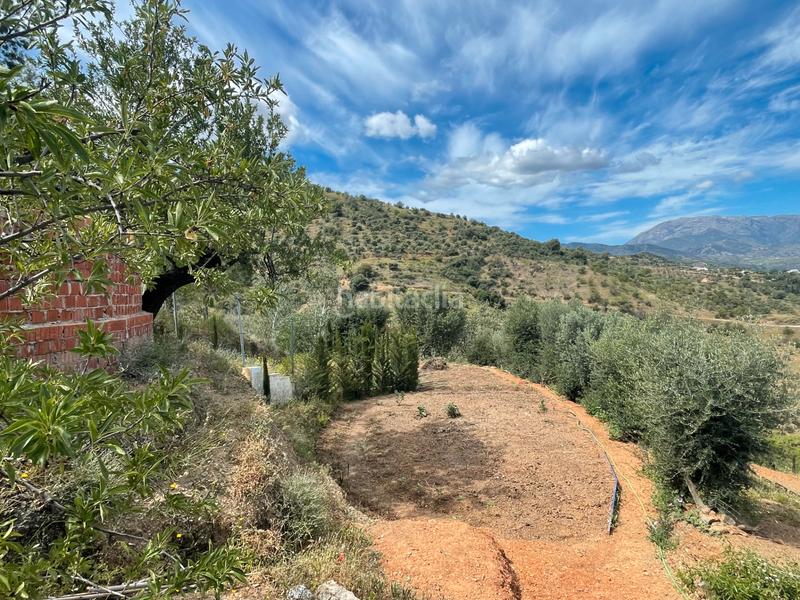 Foto 4a439ff1-994a-438e-9021-cb1da28bb148. Finca rústica a Guaro