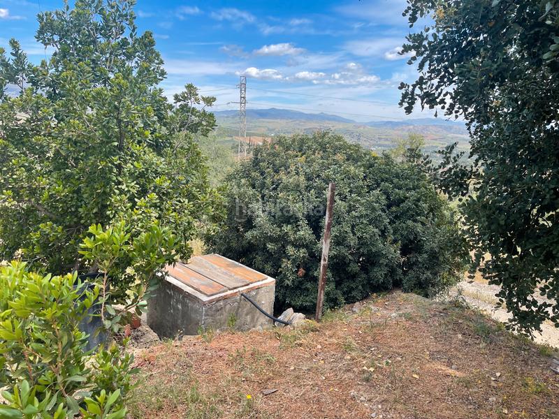 Foto 56a7cf48-e0ec-4df1-b748-29be308c088e. Finca rústica a Guaro