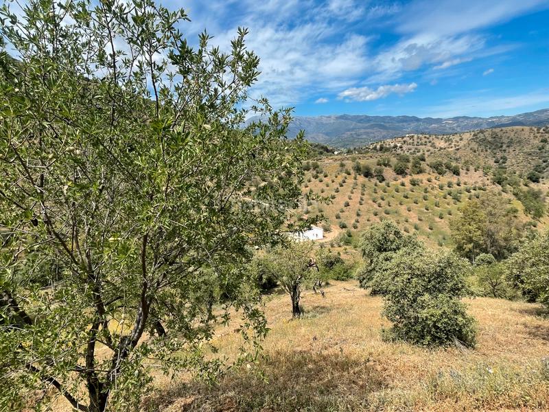 Foto 5c0d5c62-d021-4ff7-84c9-3469490212bf. Finca rústica a Guaro