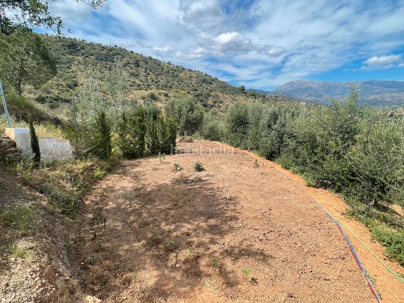 Foto 6b5cde3c-2c0d-4454-afa1-72185af7601e. Finca rústica a Guaro