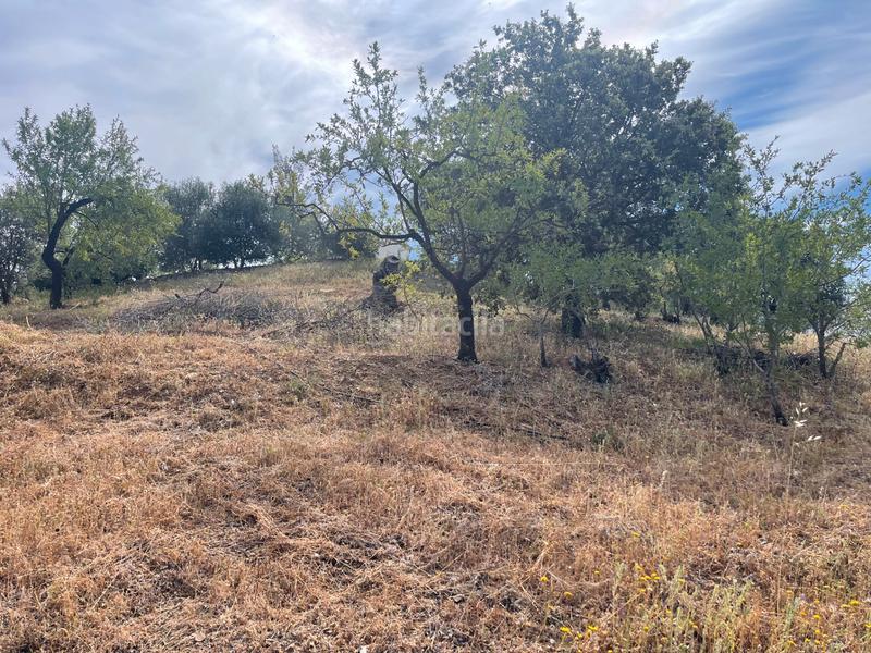 Foto 7a5d5daa-a18d-4e12-86b5-39a76cae507f. Finca rústica a Guaro