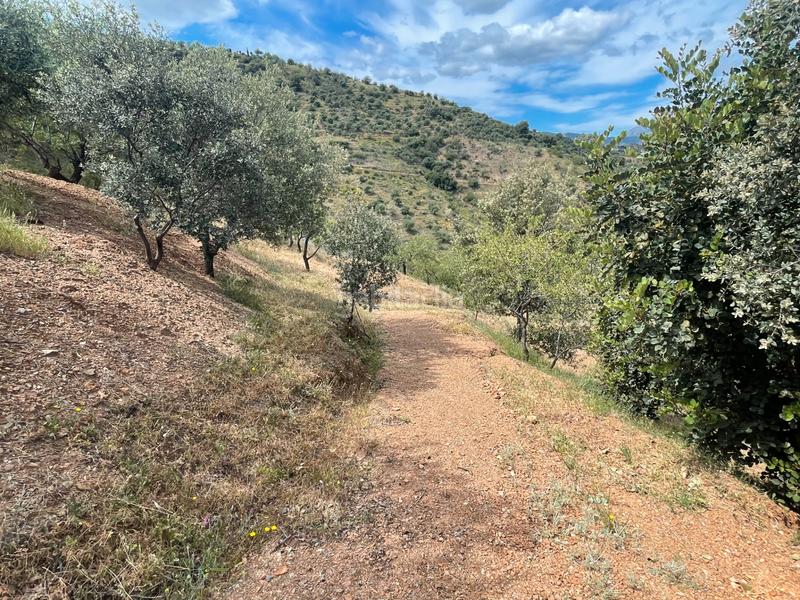 Foto 7c9c2b86-cd2c-4a97-95e0-f8088c8ec289. Finca rústica a Guaro