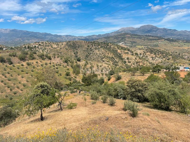 Foto 8cc5cfa8-46f3-4cb0-ad02-ce2ad3a8f046. Finca rústica a Guaro