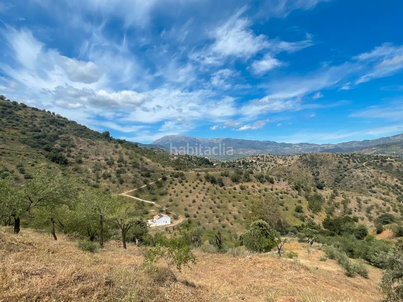 Foto a1a65b9a-828d-4c2f-9af3-4a268fa02c64. Finca rústica a Guaro