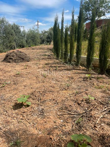 Foto a3e9b638-9c31-4a0a-9c2c-430ae8cfd081. Finca rústica a Guaro