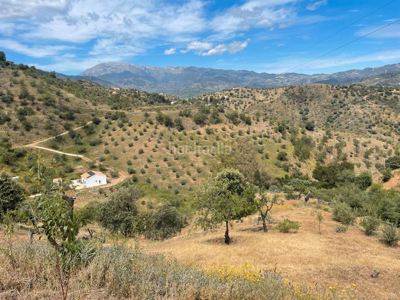 Foto a64bfc85-d11b-48ff-8921-b7c9a13ed628. Finca rústica a Guaro