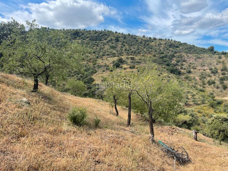 Foto ae520342-aa52-4cc7-bdca-77a3397cecf4. Finca rústica a Guaro