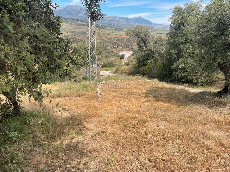 Foto b28dbca2-e990-45c1-af4e-ec646d3011b3. Finca rústica a Guaro