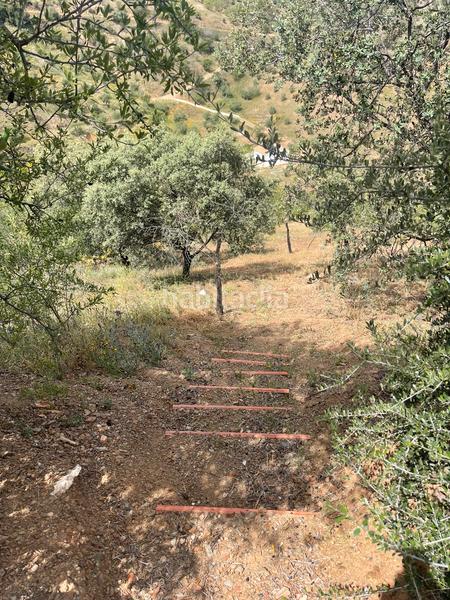 Foto bda01423-3c15-442b-8f1a-e96dca177d90. Finca rústica a Guaro