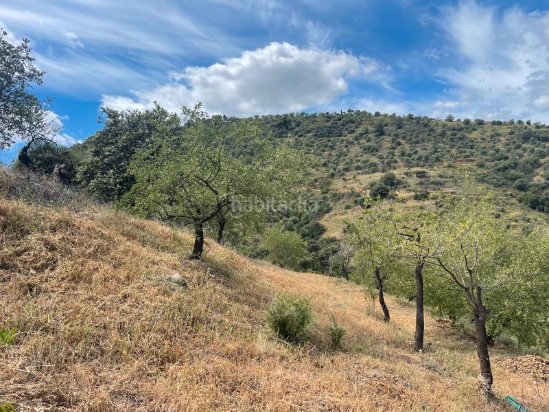 Foto e1e72954-0a68-455a-9c09-84fa438717b7. Finca rústica a Guaro