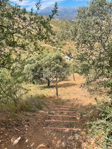 Foto e40eebbd-5042-408e-9841-79f7c5ec43c5. Finca rústica a Guaro